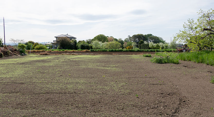 2.松山市にお住まいのT様が、「姉妹で松山市の土地を相続したが、妹と売却の合意が得られず分筆した事例」